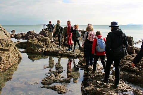 Howth Safari Wandeltocht - PRIVÉ
