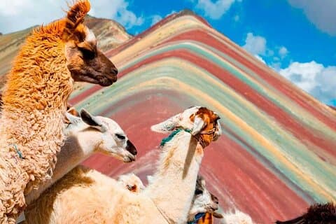 Excursion to Rainbow Mountain Full Day + Almuerzo Buffet