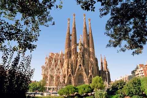 Sabor de Barcelona Tapas y vino gourmet en el Barrio Gótico