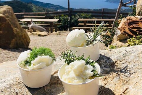 Snack on the Hill of Elba with Goat Ice Cream e-Bike Tour