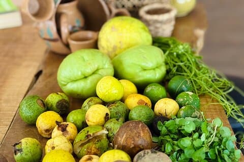 Monteverde Food & Ethnobotanical cook in Traditional Fire cuisine