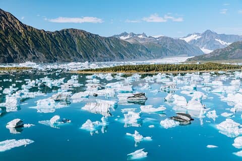 Seward Wildlife Explorer 60 minuters Heli Flightseeing