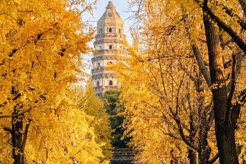 Suzhou anpassad dagstur privat bil med lunch och lokal mat