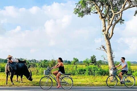 Hoi An Bike Tour: Artesanato Tradicional, Noodles & Carpintaria
