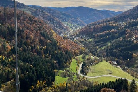 Three countries+ Blackforest and Alsace Private Car Tour for 1-6