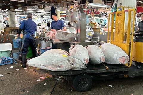 Visite du marché aux poissons d'Adachi à Tokyo
