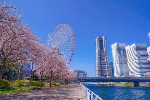 Innovation & Kultur von Yokohama – 5h Private Landtour