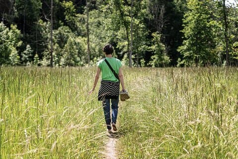 Viagem à natureza e ao campo com um fotógrafo local