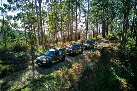 Tropical Tide, Porto Moniz & Fanal Forest 4WD Jeep Tour