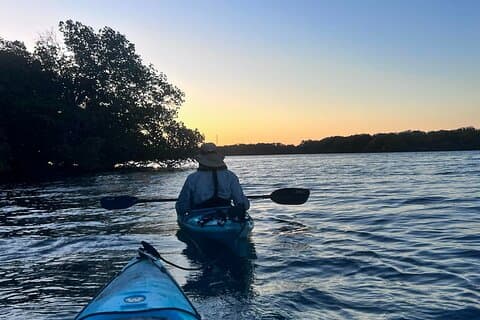 Hotell nära Dolphin Sanctuary Kayak Tours