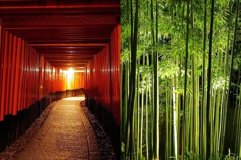 Kyoto Fushimi-Inari og Arashiyama natt tur