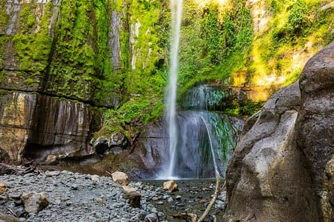 Meru Forest Napuru Waterfalls Hiking Day Trip