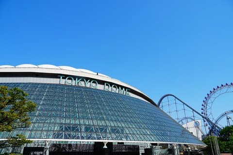 Tokyo Dome baseball history tour With a Nationally Licensed Guide