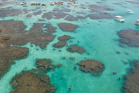 Maragogi a Private Tour of Paradise Beaches