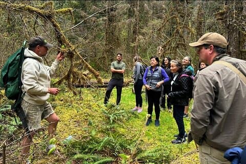 Foraging Tour of Edible Plants and Mushrooms in Brinnon