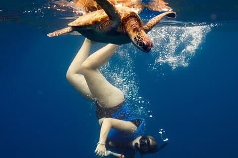 Shared snorkeling tour TAHITI