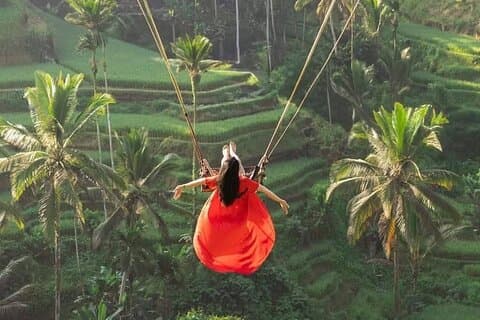 Swing All Inclusive, Zipline, Terraço de Arroz, Templo e Catarata