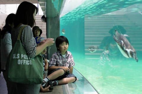 Von Samurai bis zur Kunst Japan Museen mit Ortskundiger Reiseleiter erkunden