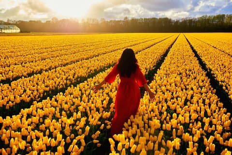 Photoshoot in the Tulip Fields