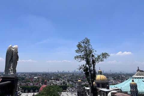 Meet the Basilica of Guadalupe with snack