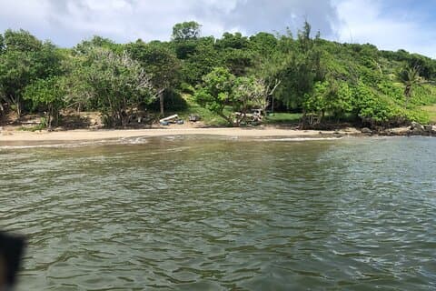 East Coast Private Island Day Trip Kayak & Picnic Experience
