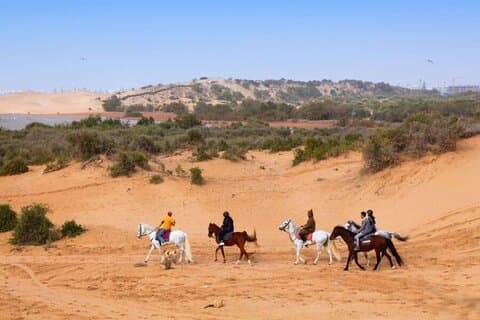 Agadir Ridupplevelse längs kusten