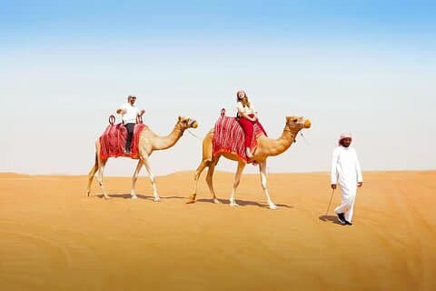 Dubai Safari: Dune Bashing, Camel Rides, Middag og Stargazing