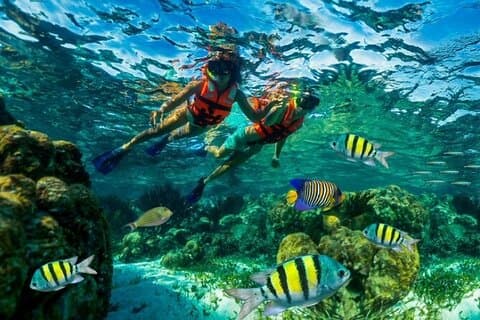 Roatan Two Stop Snorkel plus Private Island Beach Break