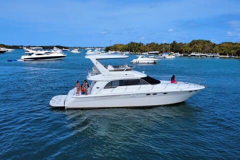 Excursion en bateau privée de 52 pi à Miami | Banc de sable, dauphins et baie de Biscayne!