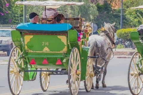 Marrakech: 1H-hästvagn privat tur i madina w / pick-up