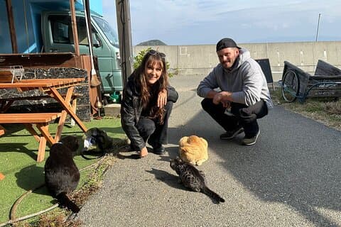 Ainoshima Island Tour - Katter, historia och natur från Hakata
