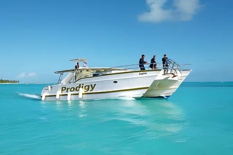 Punta Cana Catamaran Private Tour with BBQ and Natural Pool