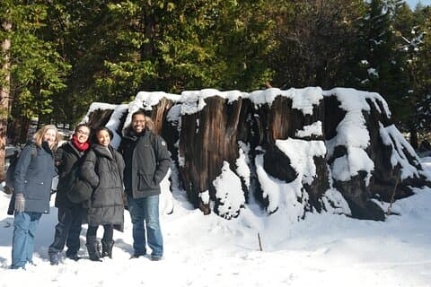Private 1 - Tagestour zum Sequoia und Kings Canyon Park ab Los Angeles