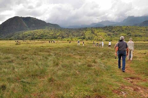 Arusha National Park Walking Safari and Game Drive