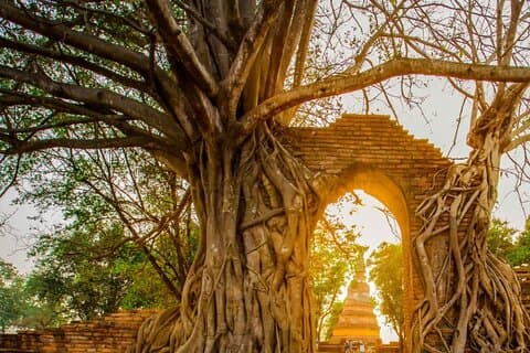 Ayutthaya Tour Privado Sunset Boat Ride com Templos Famosos