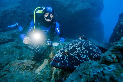 Privé duikervaring met Scorpio Madeira in Ponta de São Lourenço