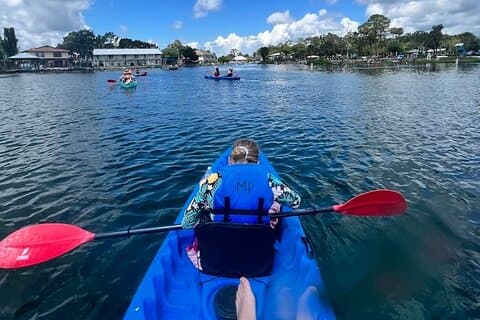 Crystal River Tandem Kayak utleie | 3 timers | Se The Manatees!