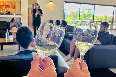 Visita à Vinícola e ao Olival: Degustação de Vinhos e Azeite