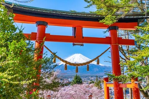 Excursion d'une journée au départ de Tokyo dans les lieux phares du Mont Fuji
