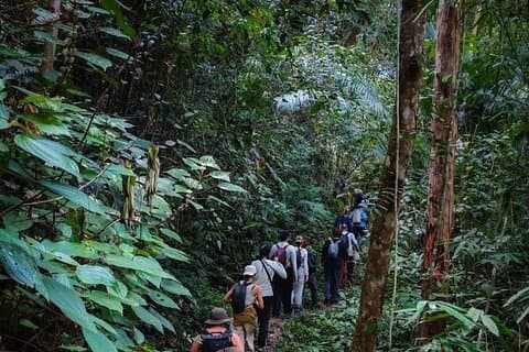 5D4N Sarawak Adventure : Bako NP, Permai, Bengoh & Batang Ai