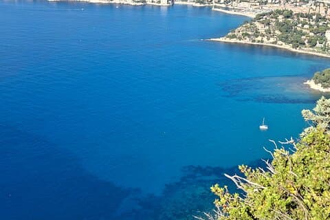 Halvdags delad Cassis Tour med vinprovning