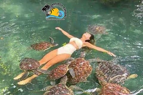 Zanzibar Nuoto, snorkeling e tartarughe da foraggio al Baraka Aquarium