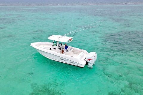Reef Fishing Adventure Over Coral Reefs