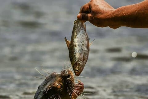 Full day Lake Valencia
