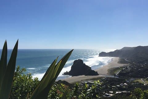 Volledige dag sightseeing tour in Auckland