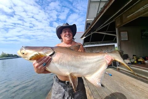 Poisson-chat du Mékong et pêche à la carpe siamoise garantissent une bonne pêche
