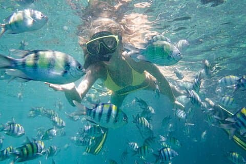 Blue Lagoon Snorkeling Experience in Bali