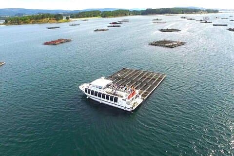 From Santiago Private Tour to Rias Baixas with Boat Trip