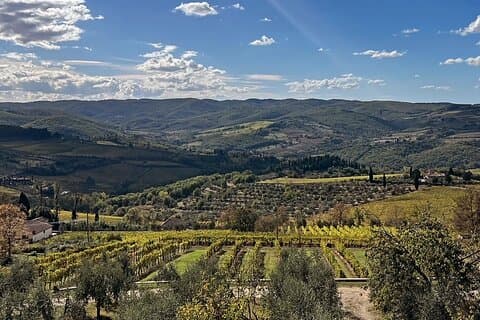 Bio Chianti Classico Weintour Verkostungen mit Mittagessen inklusive