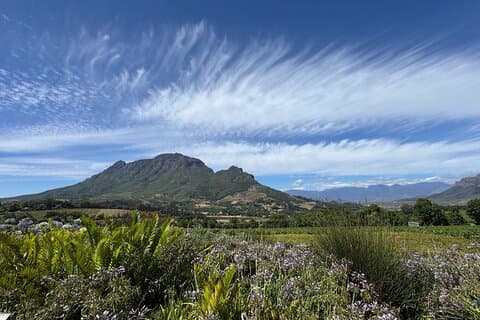 Winelands Kapstaden till Stellenbosch & Franschhoek Lux EV/7 sits